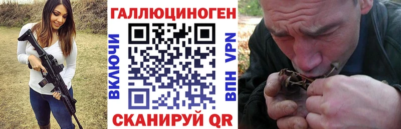 где продают наркотики  Жуковский  МЕГА tor  Галлюциногенные грибы мицелий 